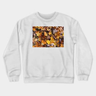 Autumn Leaves Crewneck Sweatshirt